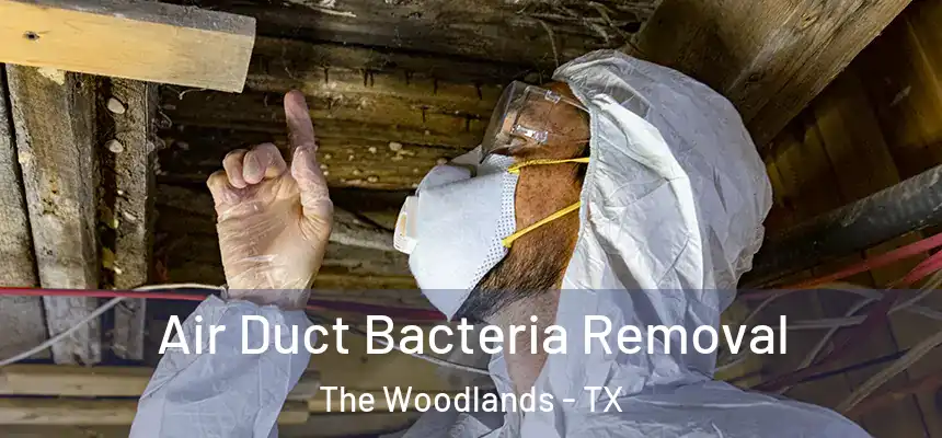 Air Duct Bacteria Removal The Woodlands - TX