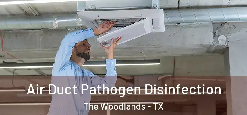 Air Duct Pathogen Disinfection The Woodlands - TX