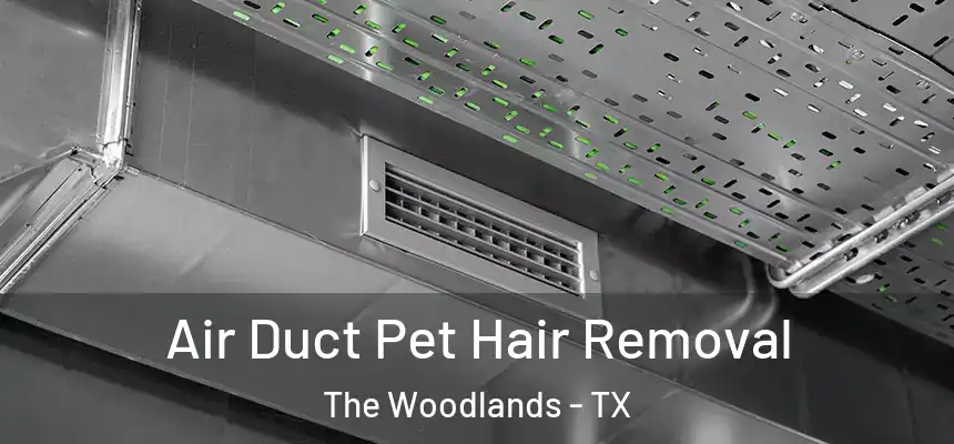 Air Duct Pet Hair Removal The Woodlands - TX