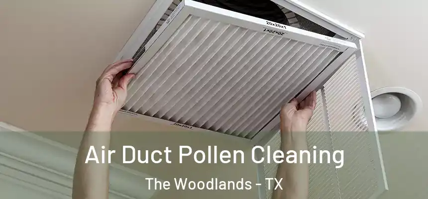 Air Duct Pollen Cleaning The Woodlands - TX