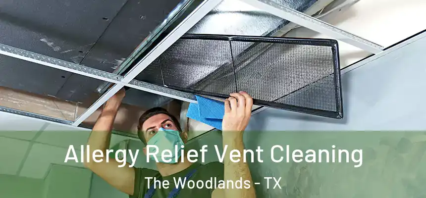 Allergy Relief Vent Cleaning The Woodlands - TX