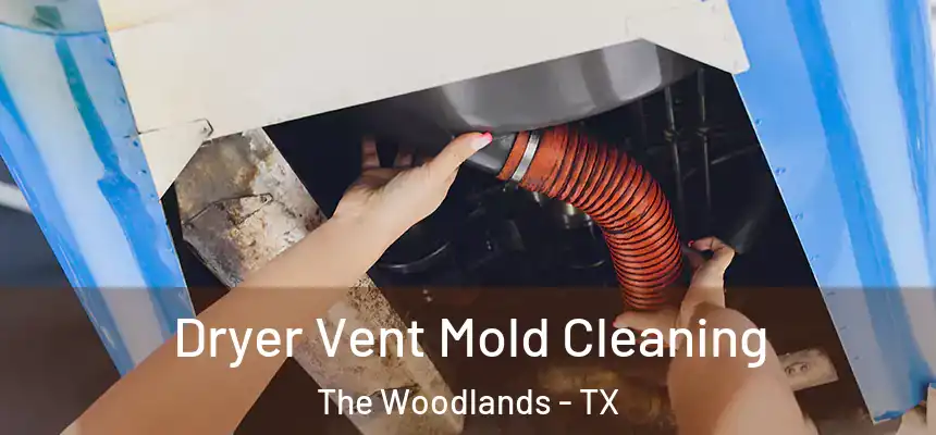 Dryer Vent Mold Cleaning The Woodlands - TX