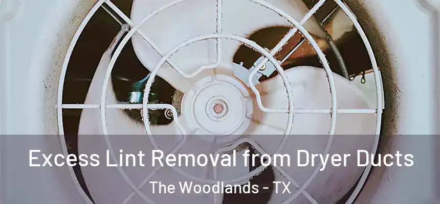 Excess Lint Removal from Dryer Ducts The Woodlands - TX