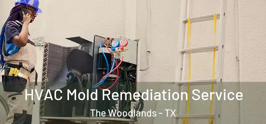  HVAC Mold Remediation Service The Woodlands - TX