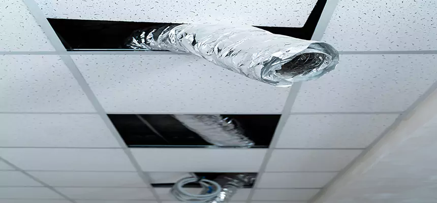 Our Air Duct Pet Hair Removal Services in The Woodlands, TX