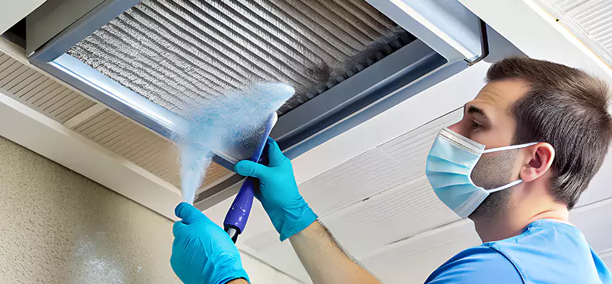 Proactive Dryer Vent & Auxiliary Duct Pollen Cleanup in The Woodlands, TX