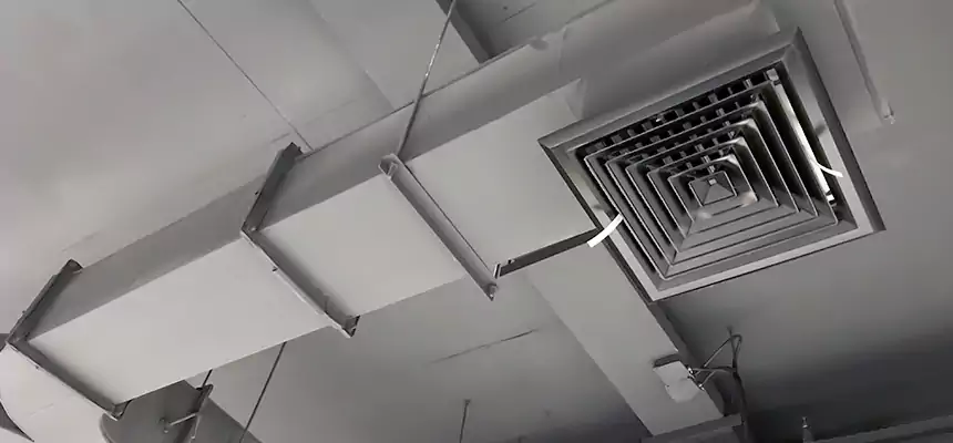 Restorative Allergy Relief Vent Cleaning – Coil, Blower & Housing Detail in The Woodlands