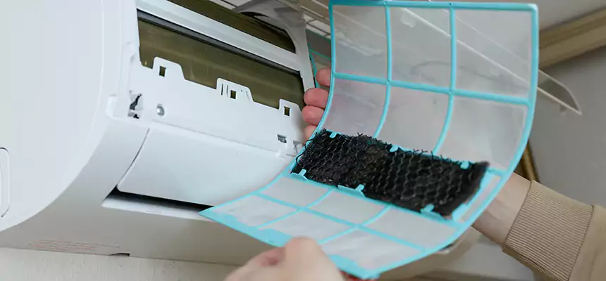 Gentle Ductwork Odor-Control Pet Dander Duct Cleaning in The Woodlands, TX