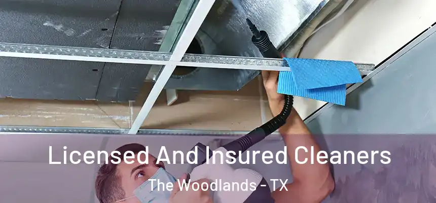 Licensed And Insured Cleaners The Woodlands - TX
