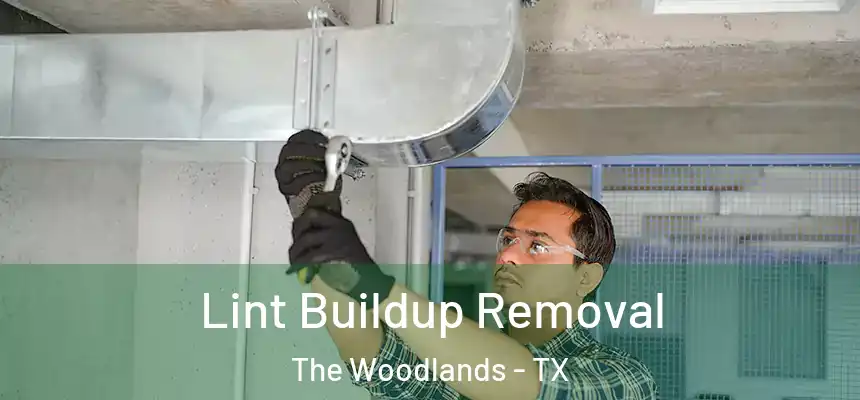 Lint Buildup Removal The Woodlands - TX