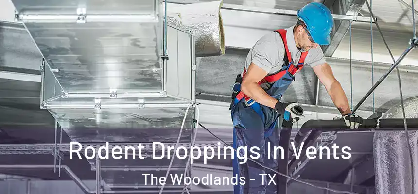 Rodent Droppings In Vents The Woodlands - TX