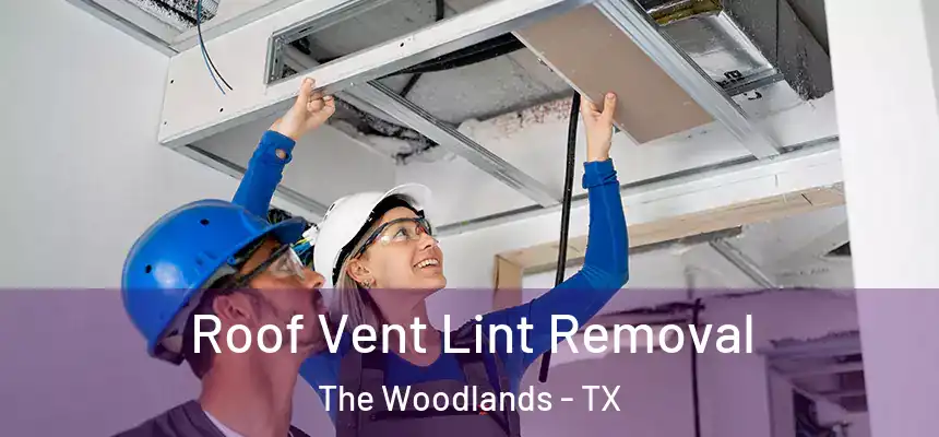 Roof Vent Lint Removal The Woodlands - TX