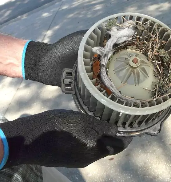 About Air Duct Mice Removal in The Woodlands, TX