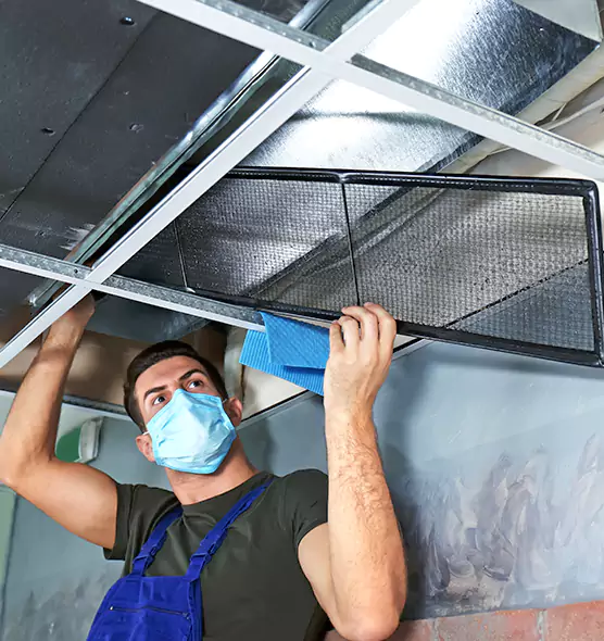 Professional Air Duct Pollen Cleaning in The Woodlands, TX