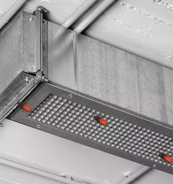 Affordable Insect Removal from Air Ducts in The Woodlands, TX