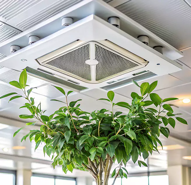 Why Homeowners & Businesses Trust Us in The Woodlands, TX?