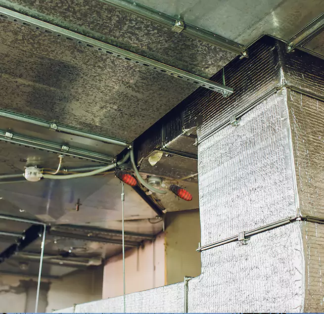 Why Homeowners & Businesses Trust Us The Woodlands, TX?